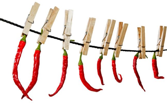 Chilis trocknen und konservieren um sie haltbar zu machen - Peperoni trocknen