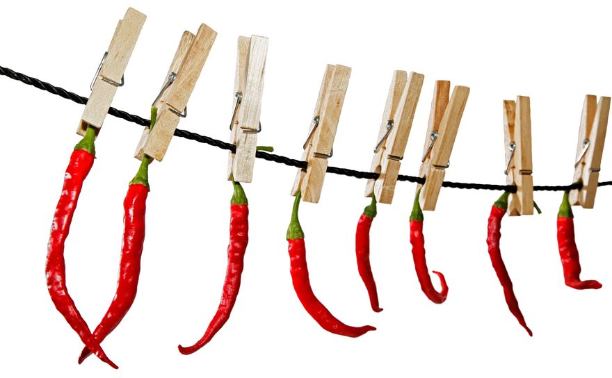 Chili trocknen: So werden die Früchte konserviert