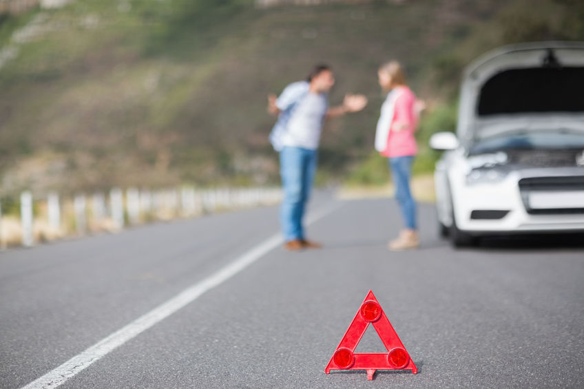 Alternativen zum ADAC