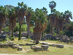 Ausgrabungsstätte in der Landschaft von Griechenland auf Kos