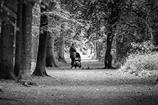 Räder und Dämpfung beim Kinderwagen