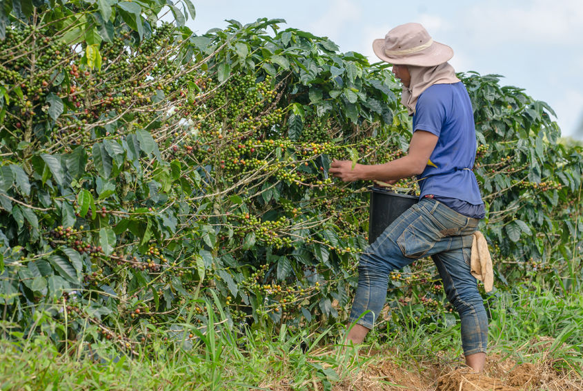 Organic, Fairtrade – was ist denn das?