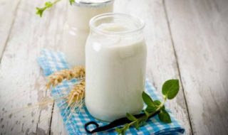 Joghurt selbst herstellen