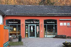 Ausstellung - Natur erleben im Harz