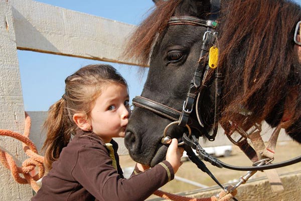 Geburtstag auf einem Ponyhof