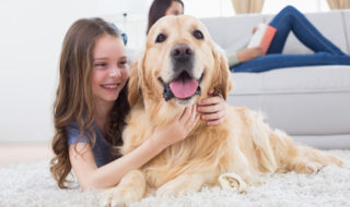 Ratgeber zur Anschaffung eines Hundes