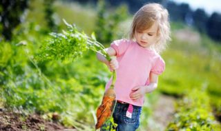 Beete anlegen: Gartengestaltung für Kinder