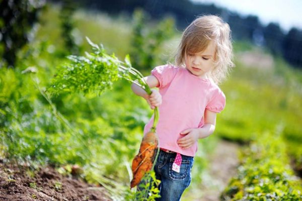 Beete anlegen: Gartengestaltung für Kinder
