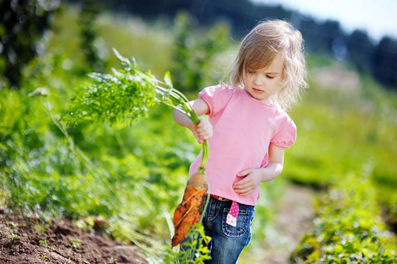 Gartengestaltung für Kinder: Nutzgarten & Beete anlegen mit Kindern