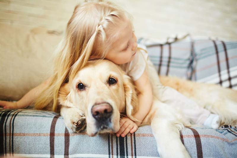 Haustier anschaffen: Welches Haustier für Familien mit Kindern?