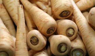 Pastinakenbrei Rezept
