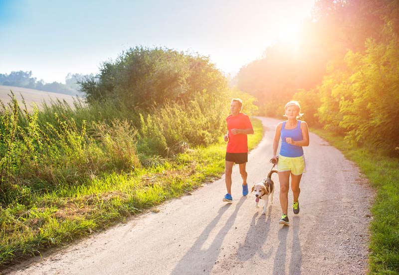 Vitaler Sommer für Eltern: Spaß und Vitalität verbinden