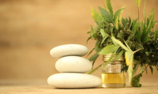 CBD Öl aus der Apotheke