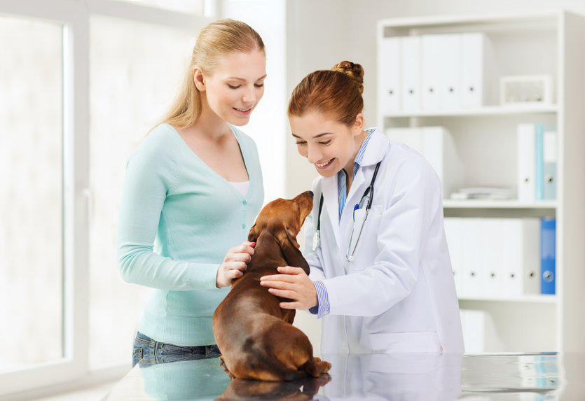 Tierarzt Hausbesuche in der Nähe: So einfach findest du einen Tierarzt der nach Hause kommt