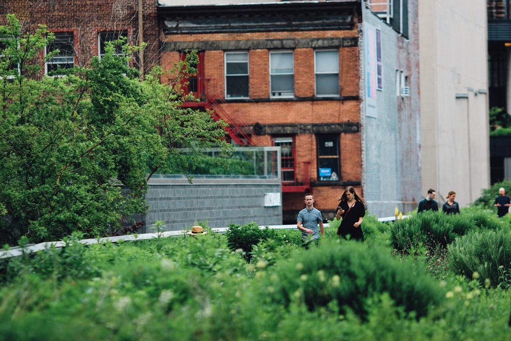 Urban Gardening: Tipps für den kleinen Garten in der Stadt