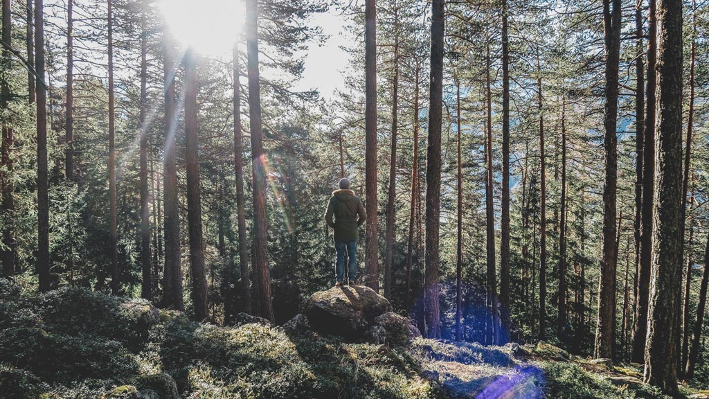 Die schönsten Wanderwege in Österreich